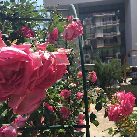 Apartments Milena Tivat Luaran gambar
